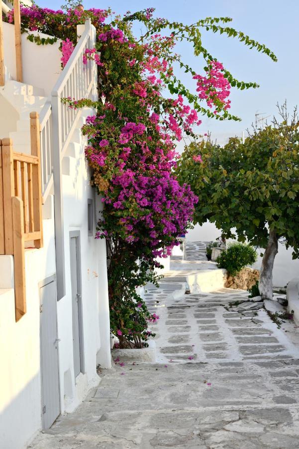 Appartement Marietta'S à Mykonos Town Extérieur photo